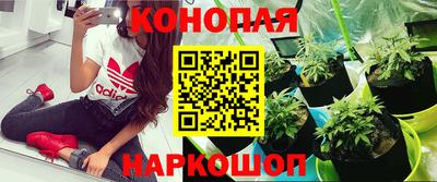 молекула духа Славгород