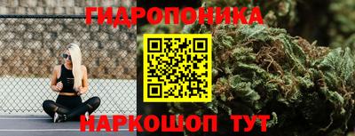 молекула духа Славгород